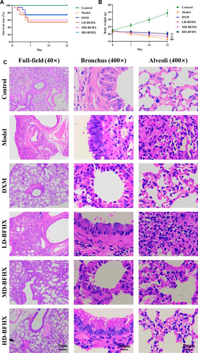 https://cdn.ncbi.nlm.nih.gov/pmc/blobs/a30a/9944029/4e18ed2921cb/fphar-14-1084617-g001.jpg