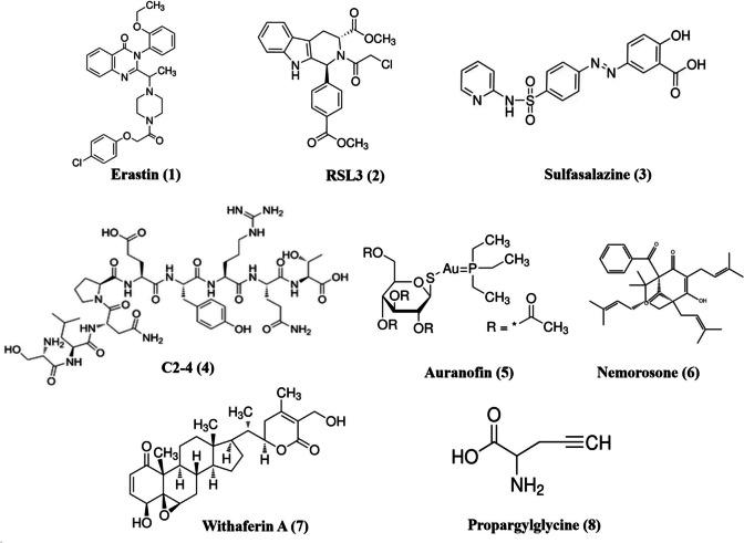 https://cdn.ncbi.nlm.nih.gov/pmc/blobs/a30b/11790790/5d64582dc6c9/12035_2024_4501_Fig3_HTML.jpg