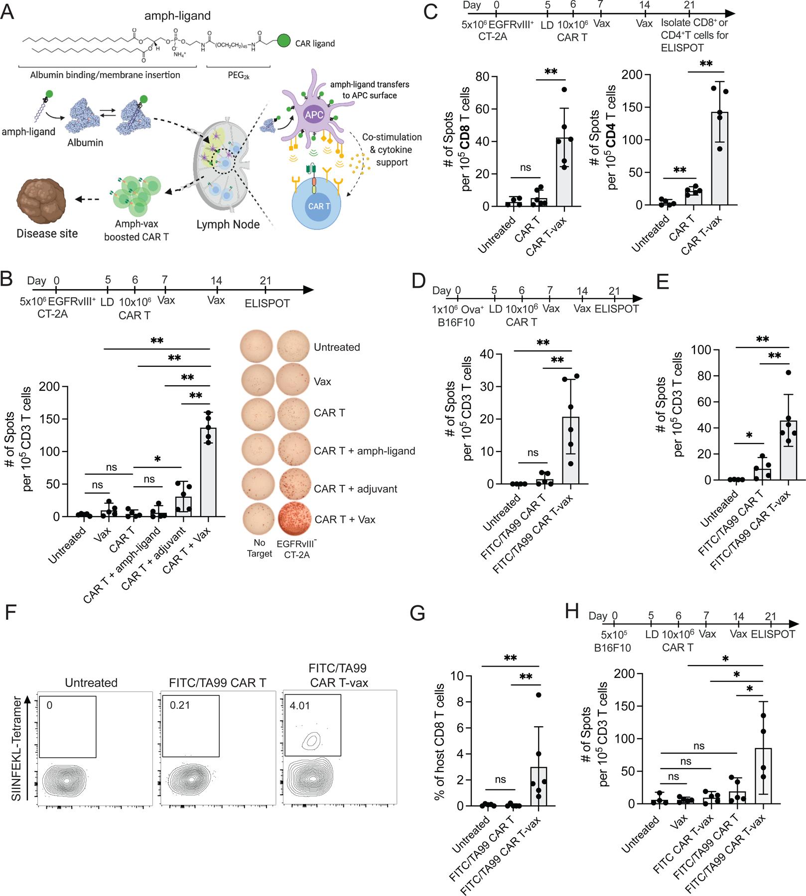 https://cdn.ncbi.nlm.nih.gov/pmc/blobs/a30e/10372881/3047fc59bf56/nihms-1908849-f0002.jpg