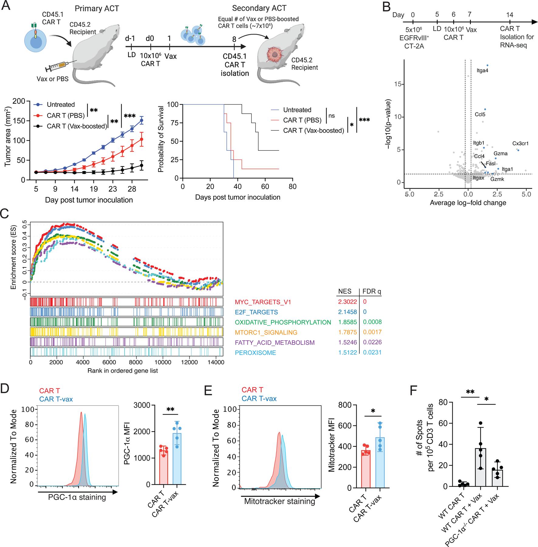 https://cdn.ncbi.nlm.nih.gov/pmc/blobs/a30e/10372881/bfc40b31a05f/nihms-1908849-f0005.jpg