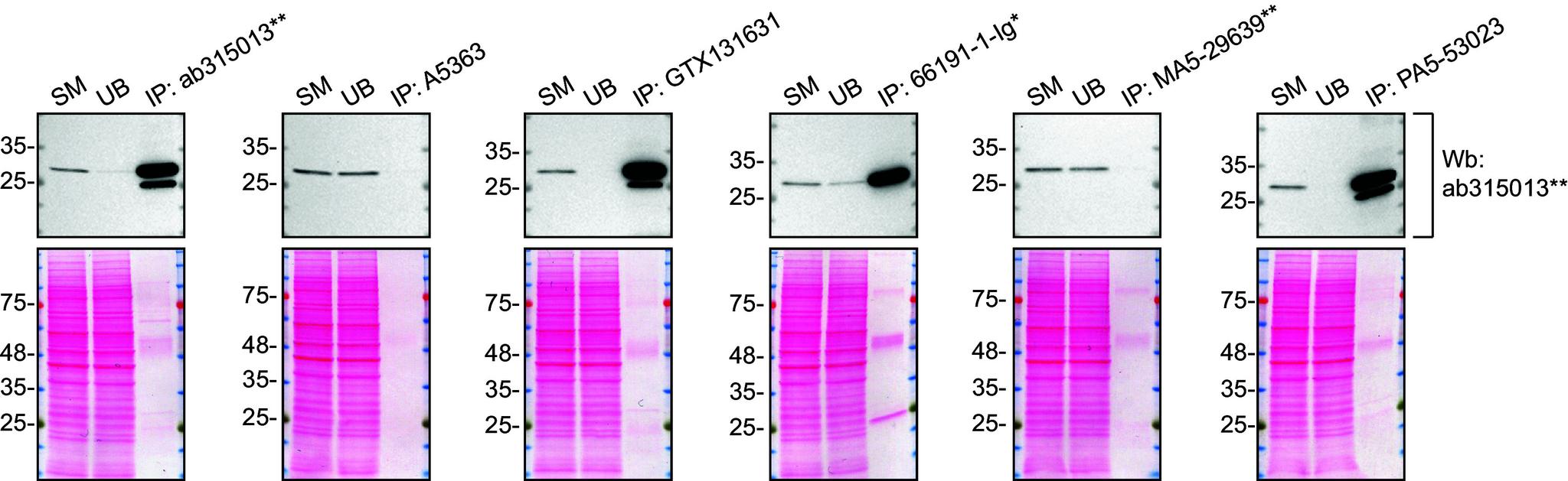 https://cdn.ncbi.nlm.nih.gov/pmc/blobs/a30f/11799760/d1dc1f628f06/f1000research-13-176085-g0001.jpg