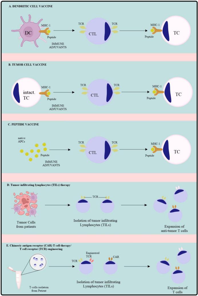 https://cdn.ncbi.nlm.nih.gov/pmc/blobs/a311/11961864/193be79fb218/262_2025_4011_Fig1_HTML.jpg