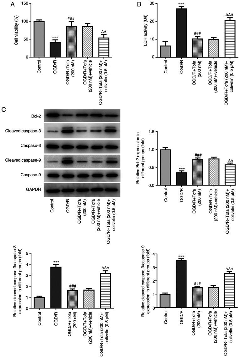 https://cdn.ncbi.nlm.nih.gov/pmc/blobs/a311/8383770/e6ca93136b8c/etm-22-04-10542-g03.jpg