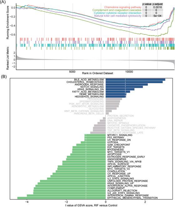 https://cdn.ncbi.nlm.nih.gov/pmc/blobs/a314/9786880/665186b5049e/AJI-88-e13607-g004.jpg