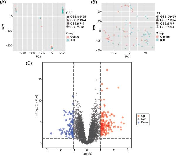 https://cdn.ncbi.nlm.nih.gov/pmc/blobs/a314/9786880/8f1f62b058ee/AJI-88-e13607-g006.jpg
