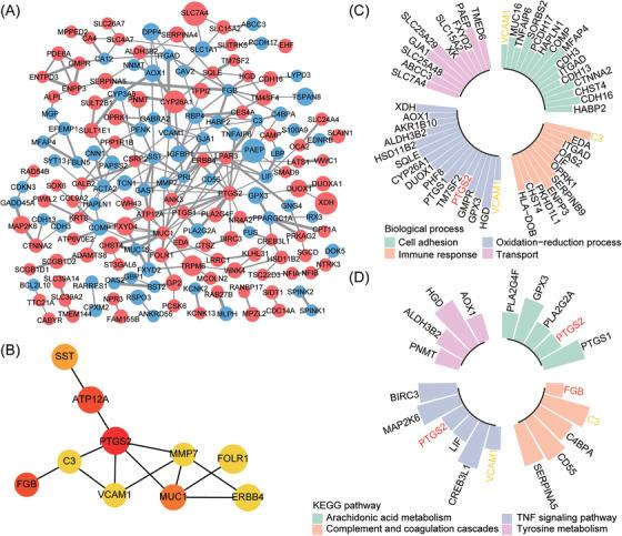 https://cdn.ncbi.nlm.nih.gov/pmc/blobs/a314/9786880/e0a405235492/AJI-88-e13607-g001.jpg