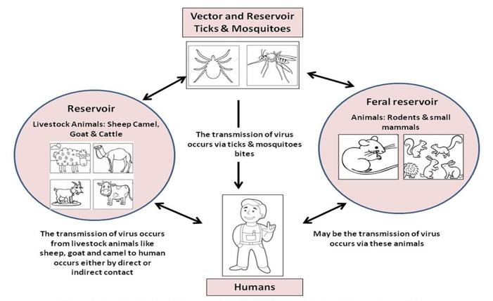 https://cdn.ncbi.nlm.nih.gov/pmc/blobs/a315/11650908/d960f38d7648/yjbm_97_4_505_g03.jpg