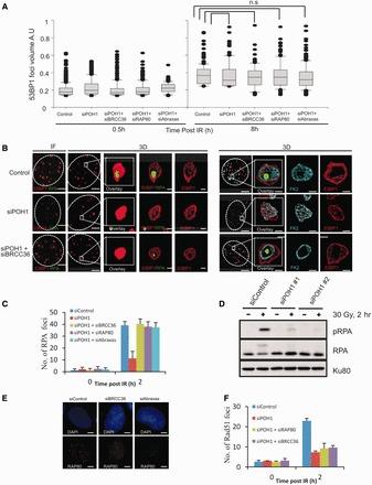 https://cdn.ncbi.nlm.nih.gov/pmc/blobs/a315/3905848/94a5374579e9/gkt802f4p.jpg