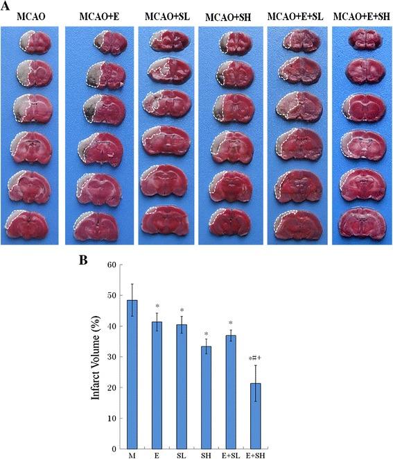 https://cdn.ncbi.nlm.nih.gov/pmc/blobs/a315/4247200/31e936e686e9/12868_2014_125_Fig2_HTML.jpg
