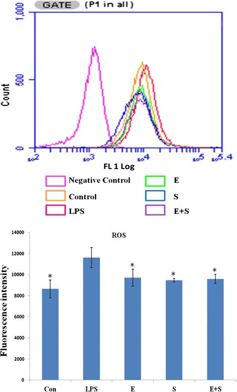 https://cdn.ncbi.nlm.nih.gov/pmc/blobs/a315/4247200/32f1dd676a27/12868_2014_125_Fig12_HTML.jpg