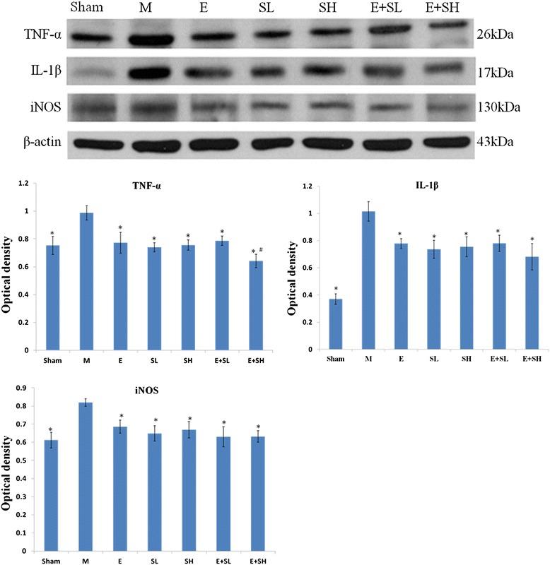 https://cdn.ncbi.nlm.nih.gov/pmc/blobs/a315/4247200/5342f5da0e01/12868_2014_125_Fig7_HTML.jpg