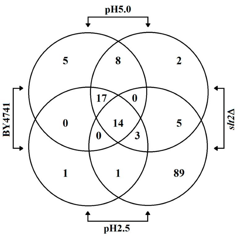 https://cdn.ncbi.nlm.nih.gov/pmc/blobs/a315/7349538/788affb6a11c/genes-11-00656-g004.jpg
