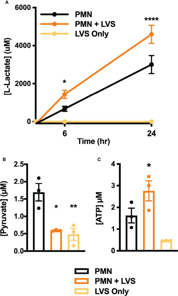 https://cdn.ncbi.nlm.nih.gov/pmc/blobs/a315/9174434/84105b79e6a7/fimmu-13-836754-g003.jpg