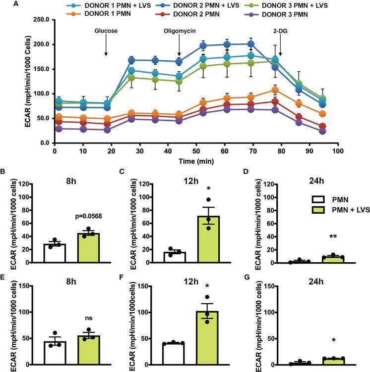 https://cdn.ncbi.nlm.nih.gov/pmc/blobs/a315/9174434/d429540856f9/fimmu-13-836754-g002.jpg