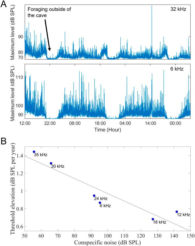 https://cdn.ncbi.nlm.nih.gov/pmc/blobs/a31a/10067528/20f644be2476/LSA-2022-01847_Fig5.jpg