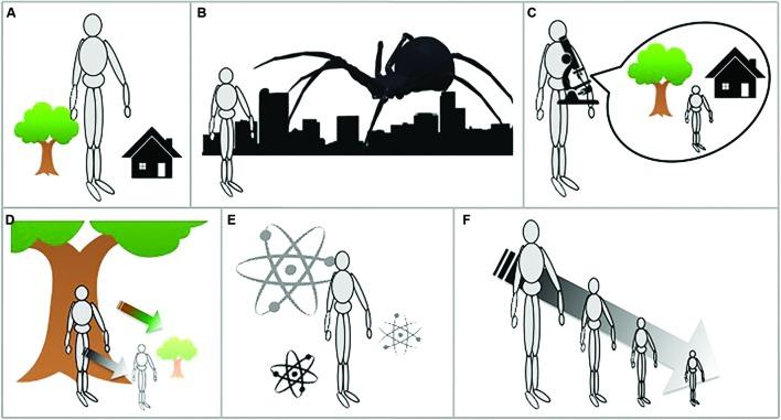 https://cdn.ncbi.nlm.nih.gov/pmc/blobs/a31c/4838621/2505c1d76175/fpsyg-07-00556-g002.jpg