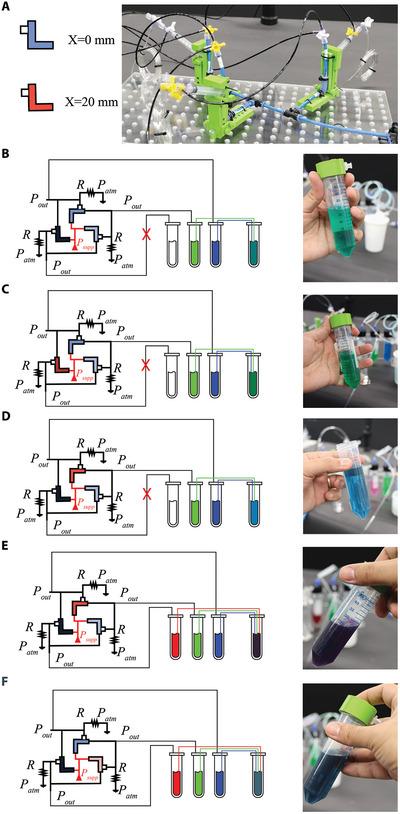 https://cdn.ncbi.nlm.nih.gov/pmc/blobs/a31d/11578338/3d204b9af180/ADVS-11-2408879-g002.jpg
