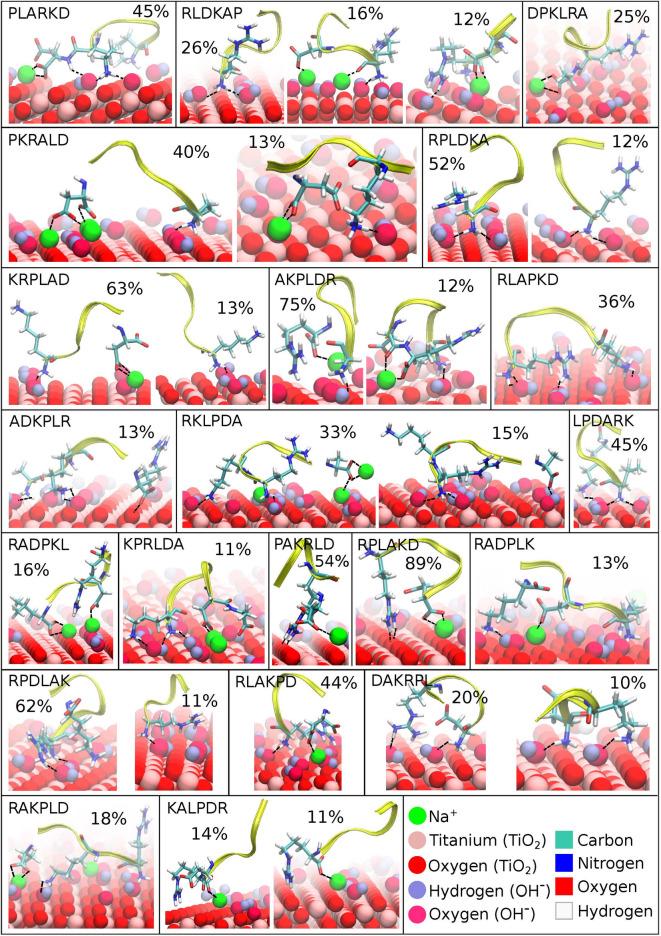 https://cdn.ncbi.nlm.nih.gov/pmc/blobs/a31d/12290007/ed130ffcb299/41598_2025_10966_Fig5_HTML.jpg