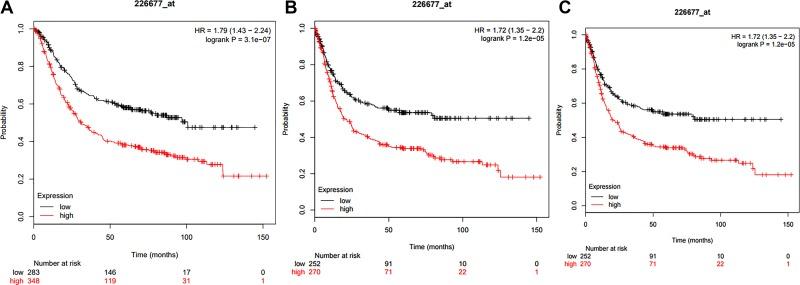 https://cdn.ncbi.nlm.nih.gov/pmc/blobs/a31d/6749787/81176ab9d88c/10.1177_1533033819874783-fig2.jpg