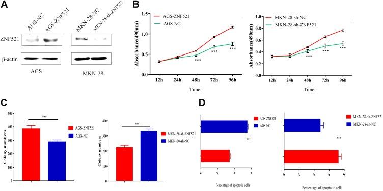 https://cdn.ncbi.nlm.nih.gov/pmc/blobs/a31d/6749787/f04b73d257ae/10.1177_1533033819874783-fig3.jpg