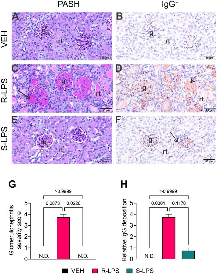 https://cdn.ncbi.nlm.nih.gov/pmc/blobs/a31d/9978350/715587a01f20/fimmu-14-1124910-g003.jpg
