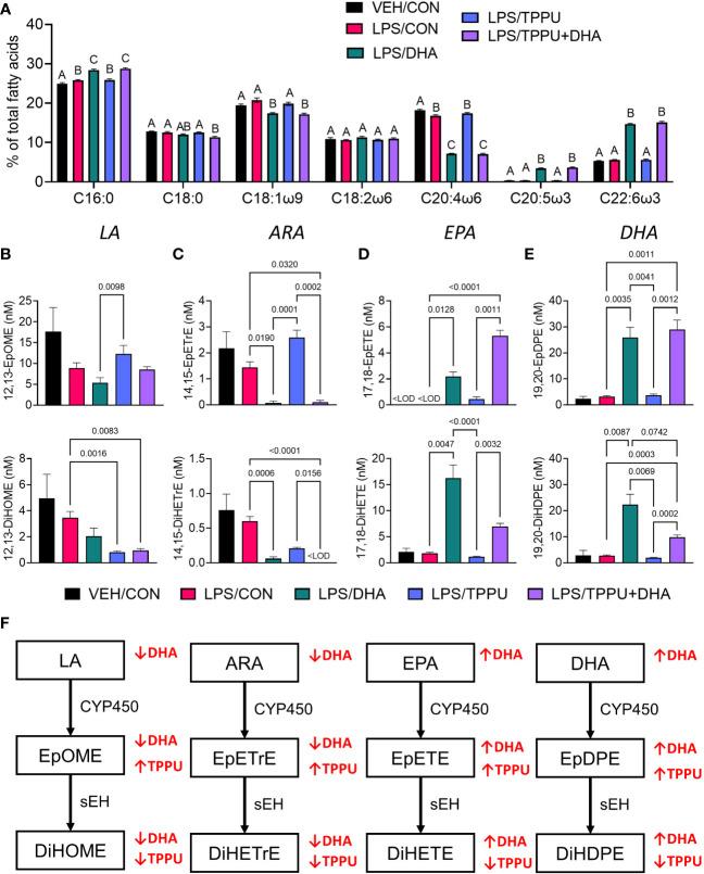 https://cdn.ncbi.nlm.nih.gov/pmc/blobs/a31d/9978350/d7a66dccda55/fimmu-14-1124910-g006.jpg