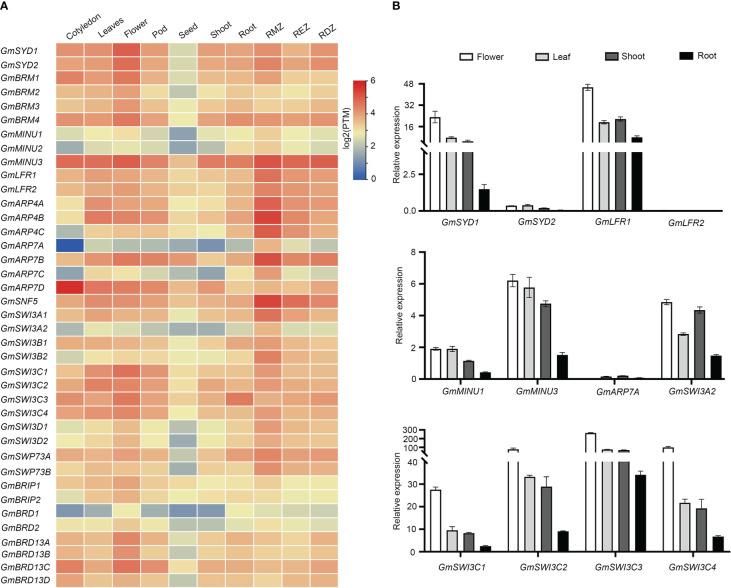 https://cdn.ncbi.nlm.nih.gov/pmc/blobs/a321/10225534/473da1dc204e/fpls-14-1176376-g004.jpg