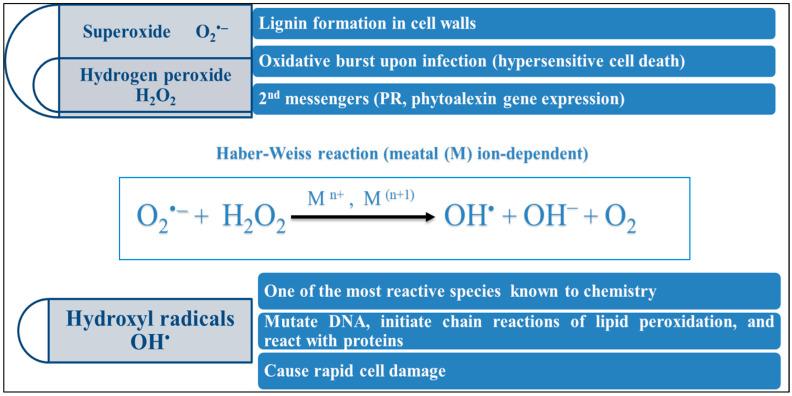 https://cdn.ncbi.nlm.nih.gov/pmc/blobs/a322/10931947/2829bdb724d9/ijms-25-02654-g003.jpg