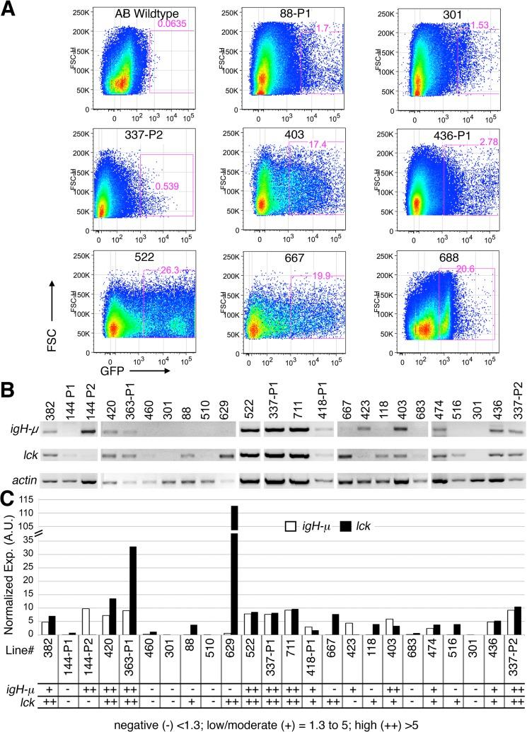https://cdn.ncbi.nlm.nih.gov/pmc/blobs/a322/4498767/db59592fa8f4/pone.0131908.g003.jpg