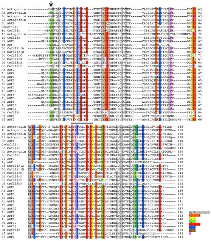 https://cdn.ncbi.nlm.nih.gov/pmc/blobs/a324/8914023/9f02c0c45b1a/fcell-10-785680-g001.jpg
