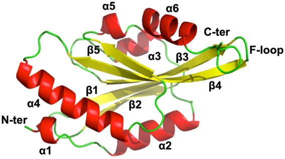 https://cdn.ncbi.nlm.nih.gov/pmc/blobs/a324/8914023/f3352eb8b962/fcell-10-785680-g004.jpg