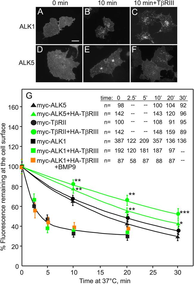 https://cdn.ncbi.nlm.nih.gov/pmc/blobs/a329/8101464/4bbb42add418/mbc-32-605-g011.jpg