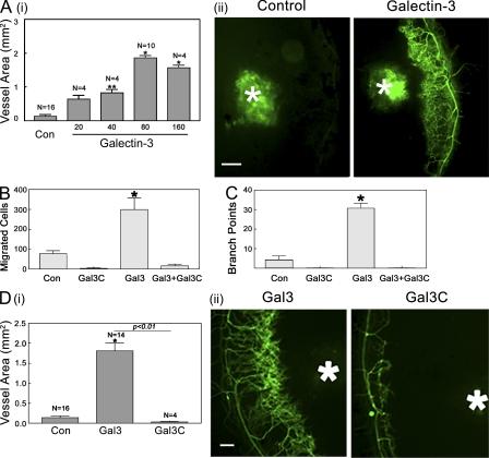 https://cdn.ncbi.nlm.nih.gov/pmc/blobs/a32a/2931172/106e4fdd6a86/JEM_20090121_RGB_Fig1.jpg