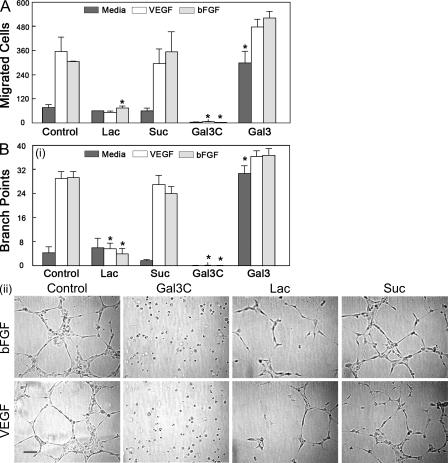 https://cdn.ncbi.nlm.nih.gov/pmc/blobs/a32a/2931172/f16f2ac48cc0/JEM_20090121_GS_Fig2.jpg