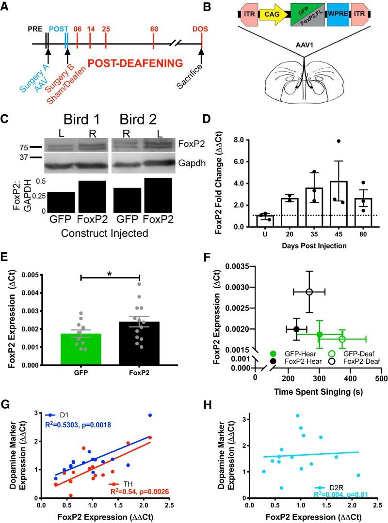 https://cdn.ncbi.nlm.nih.gov/pmc/blobs/a32b/6469881/fb3eaed052dd/enu0021929070001.jpg