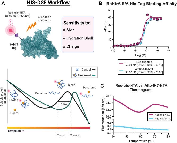 https://cdn.ncbi.nlm.nih.gov/pmc/blobs/a32b/9729254/159b48bb50b5/fphar-13-1040039-g001.jpg