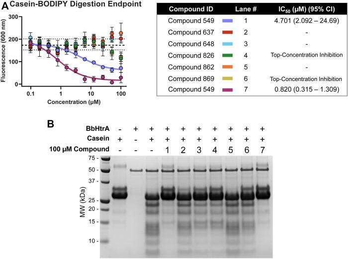 https://cdn.ncbi.nlm.nih.gov/pmc/blobs/a32b/9729254/9967c5567e1c/fphar-13-1040039-g006.jpg