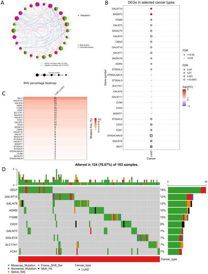https://cdn.ncbi.nlm.nih.gov/pmc/blobs/a32c/11920082/02dbf1e50e35/41598_2025_92028_Fig1_HTML.jpg