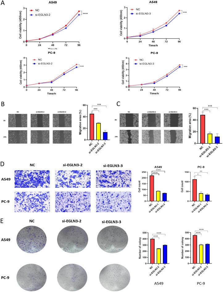 https://cdn.ncbi.nlm.nih.gov/pmc/blobs/a32c/11920082/05a79db1a1d0/41598_2025_92028_Fig6_HTML.jpg