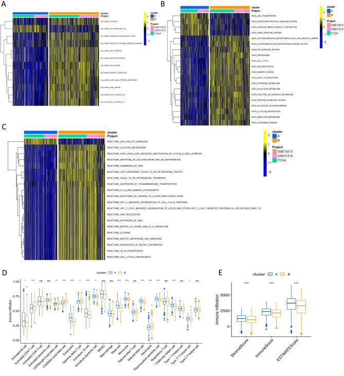https://cdn.ncbi.nlm.nih.gov/pmc/blobs/a32c/11920082/865388312317/41598_2025_92028_Fig3_HTML.jpg