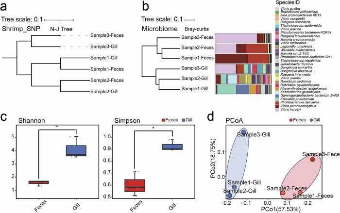 https://cdn.ncbi.nlm.nih.gov/pmc/blobs/a32d/11228047/fed13d084e66/42003_2024_6509_Fig5_HTML.jpg