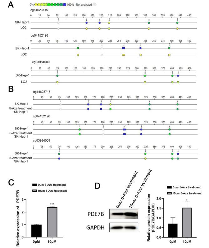 https://cdn.ncbi.nlm.nih.gov/pmc/blobs/a331/11112795/dbee065b46d7/12885_2024_12364_Fig6_HTML.jpg