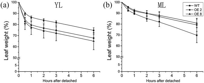 https://cdn.ncbi.nlm.nih.gov/pmc/blobs/a331/5517572/0bab9ce00f5b/41598_2017_4092_Fig4_HTML.jpg