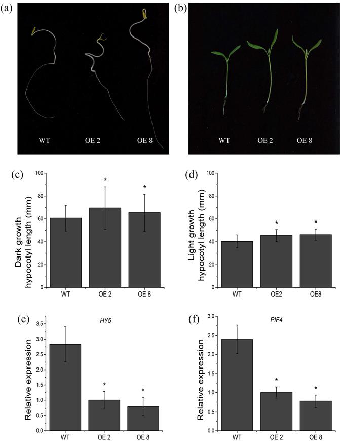 https://cdn.ncbi.nlm.nih.gov/pmc/blobs/a331/5517572/4fa4ad4bd487/41598_2017_4092_Fig5_HTML.jpg