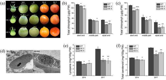 https://cdn.ncbi.nlm.nih.gov/pmc/blobs/a331/5517572/68788d43a4a3/41598_2017_4092_Fig6_HTML.jpg