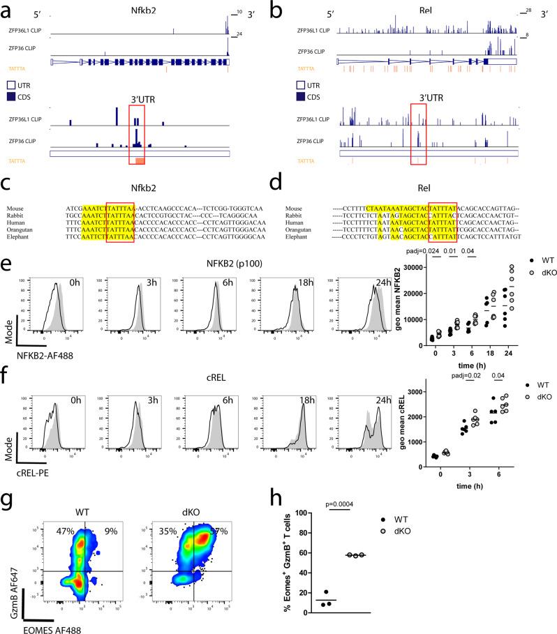 https://cdn.ncbi.nlm.nih.gov/pmc/blobs/a331/9046422/50d8f0dc3a27/41467_2022_29979_Fig6_HTML.jpg