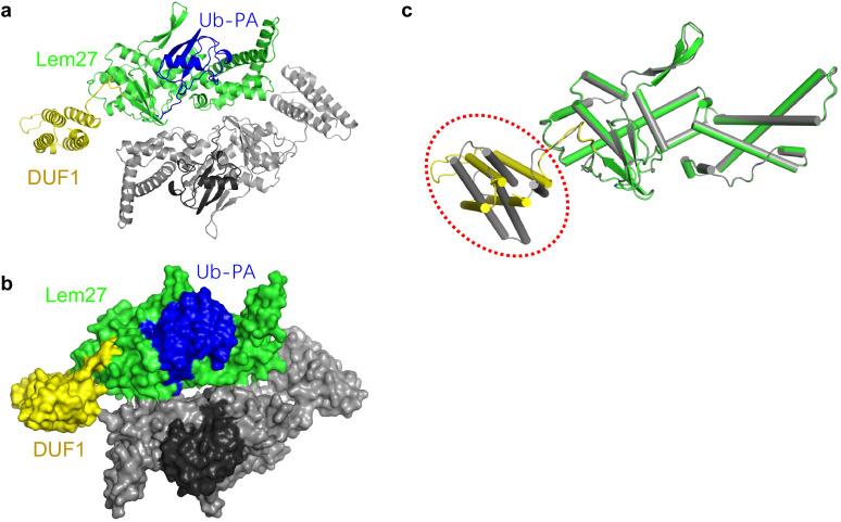 https://cdn.ncbi.nlm.nih.gov/pmc/blobs/a332/7669269/145db164d0ef/elife-58114-fig4-figsupp1.jpg