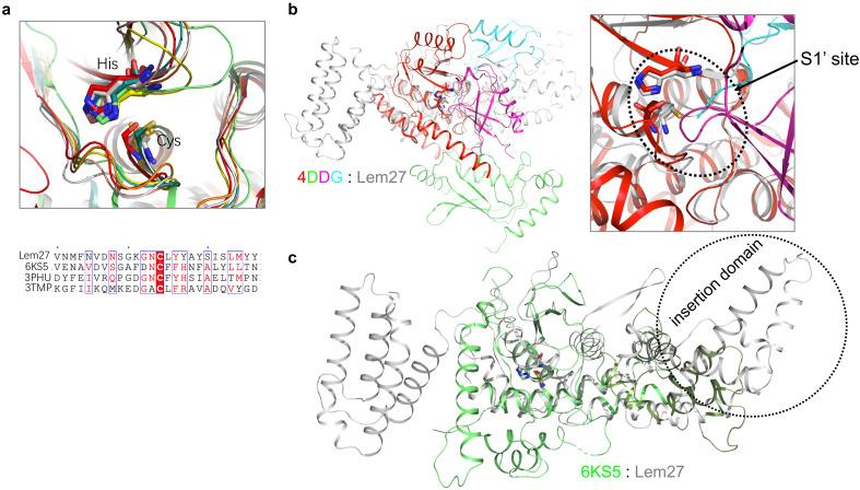 https://cdn.ncbi.nlm.nih.gov/pmc/blobs/a332/7669269/2474039bb36e/elife-58114-fig5-figsupp1.jpg
