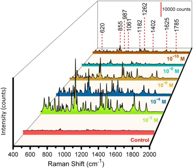 https://cdn.ncbi.nlm.nih.gov/pmc/blobs/a333/12322726/7213571ba7d8/j_nanoph-2025-0108_fig_002.jpg