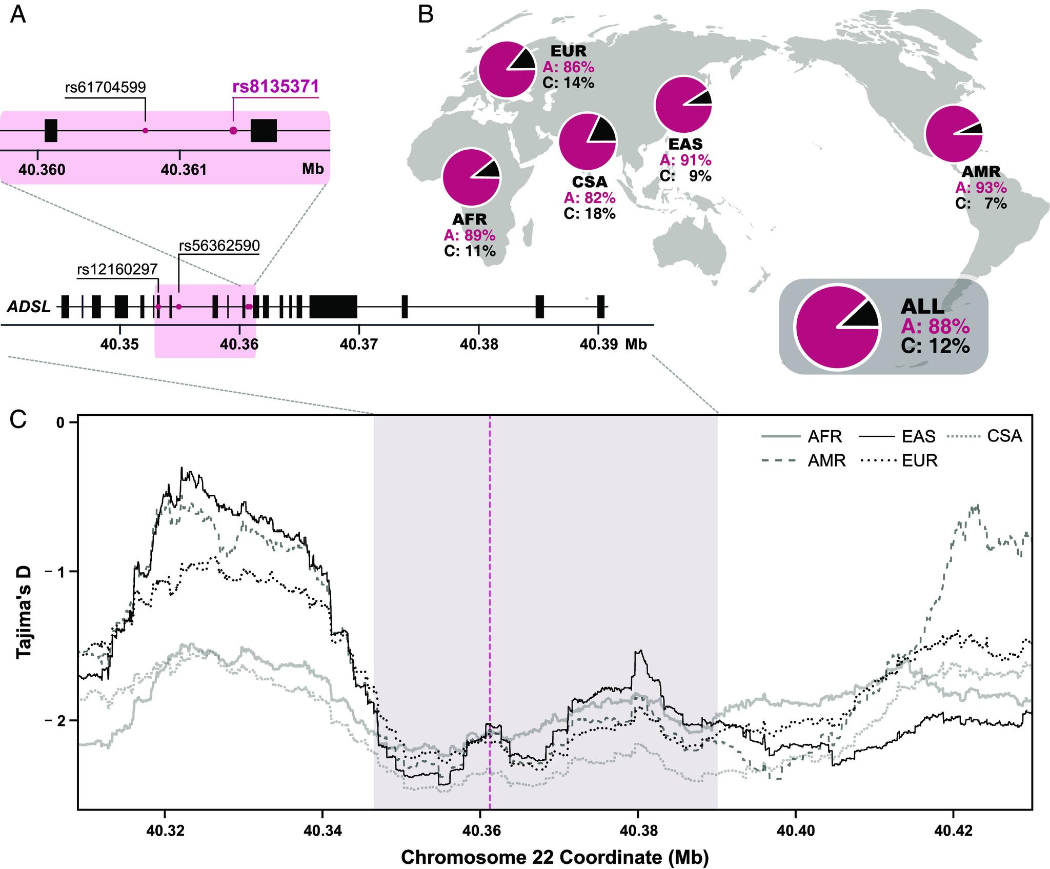 https://cdn.ncbi.nlm.nih.gov/pmc/blobs/a334/12358879/2b9a3a118b0d/pnas.2508540122fig04.jpg